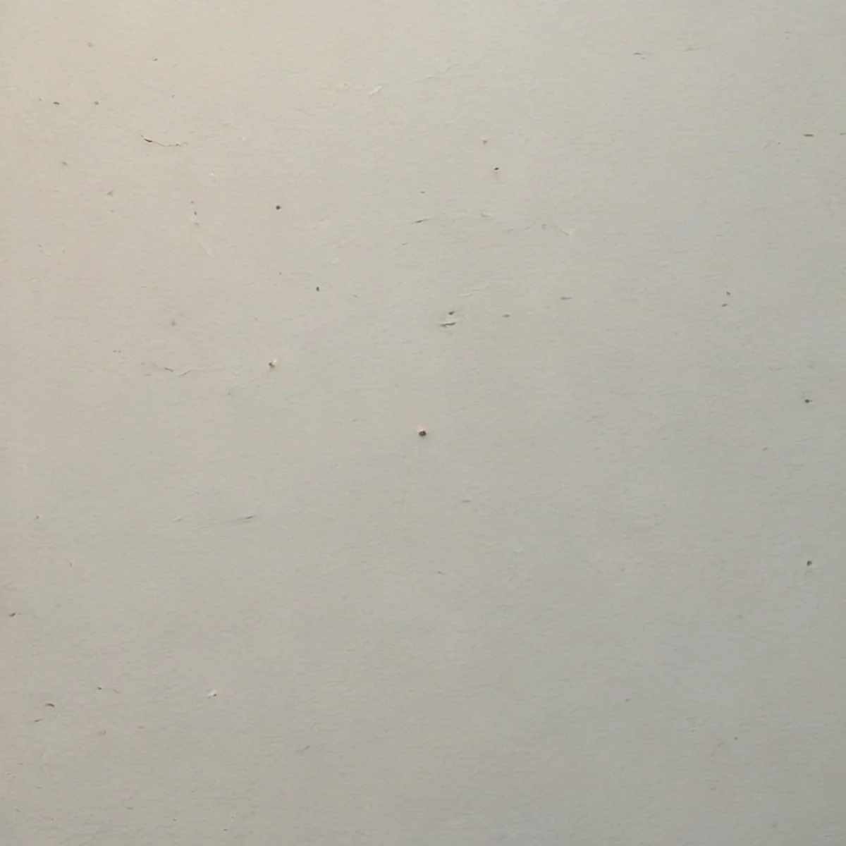 Textura de pinceladas de óleo sobre lienzo